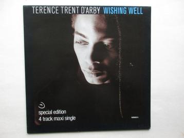 12-Inch maxi single Terence Trent d'Arby - Wishing Well NM  