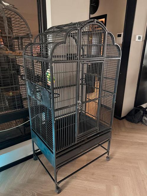 Vogelkooi strong, Dieren en Toebehoren, Vogels | Hokken en Kooien, Gebruikt, Vogelkooi, Metaal, Ophalen