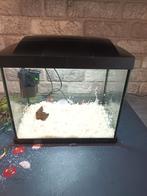 Superfish aquarium, Ophalen, Zo goed als nieuw, Leeg aquarium