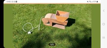 Kanarie  beschikbaar voor biedingen