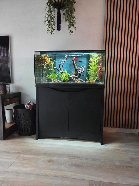 Fluval flex 123L met kast, Dieren en Toebehoren, Vissen | Aquaria en Toebehoren, Zo goed als nieuw, Leeg aquarium, Ophalen