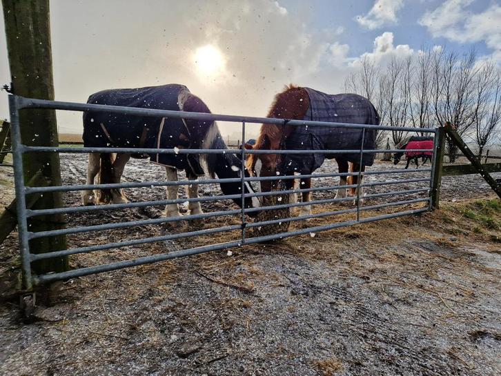 Doe het zelf stal, Dieren en Toebehoren, Stalling en Weidegang, 2 of 3 paarden of pony's
