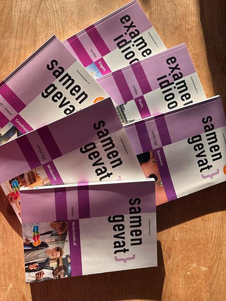 Samengevat en Examenidioom VMBO, Boeken, Schoolboeken, Zo goed als nieuw, VMBO, Ophalen of Verzenden