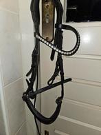 Pony hoofdstel leer zwart, Ophalen of Verzenden, Dressuur