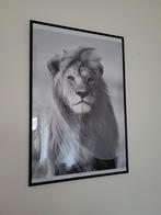 Poster in lijst zgan 70x50 cm, Ophalen, 50 tot 75 cm, Zo goed als nieuw, Foto of Poster