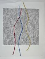 Zeefdruk Marjon Cordes (Zomeropruiming), Antiek en Kunst, Verzenden