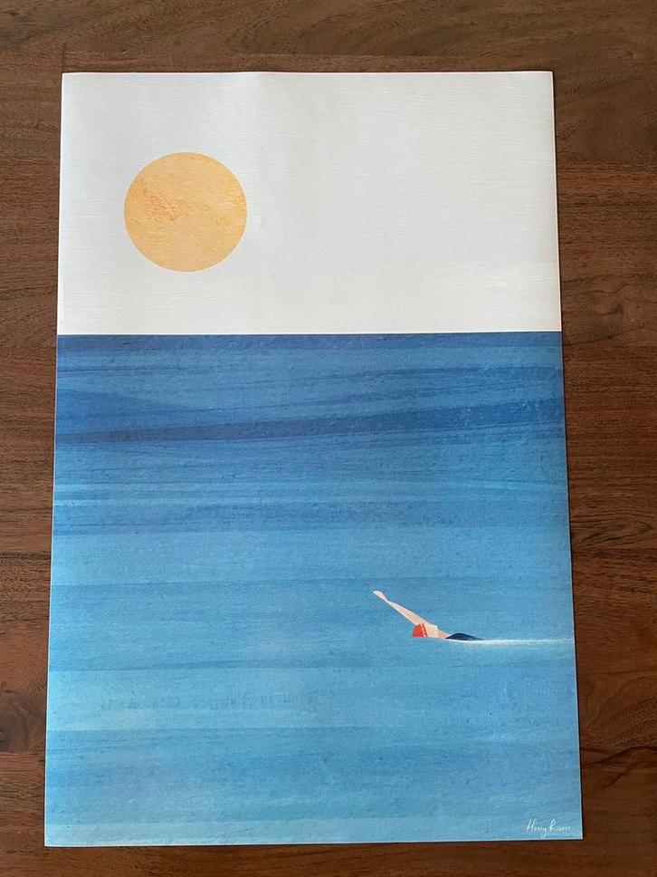 Posters 60x40, Verzamelen, Posters, Nieuw, Dier of Natuur, A1 t/m A3, Met lijst, Ophalen of Verzenden