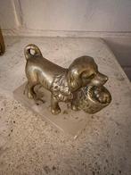 Vintage brons hondje, Ophalen of Verzenden, Zo goed als nieuw, Dier