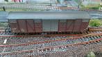 Exact-train EX22034 - SBB GBS EUROP Goederenwagen, Hobby en Vrije tijd, Modeltreinen | H0, Overige merken, Gelijkstroom of Wisselstroom