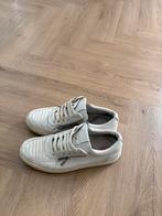 Hugo boss snaekers, Kleding | Heren, Schoenen, Ophalen of Verzenden, Gedragen