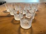 Avon Kolibri Kristal Whisky Glazen Set, Glas of Glazen, Ophalen of Verzenden, Overige stijlen, Glas