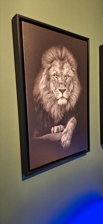 2x dieren Canvas in baklijst 45x65cm (leeuw en luipaard)  beschikbaar voor biedingen