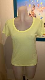 Nieuw geel shirt maat 36/38 merk Kikiriki, Geel, Nieuw, Ophalen of Verzenden, Korte mouw