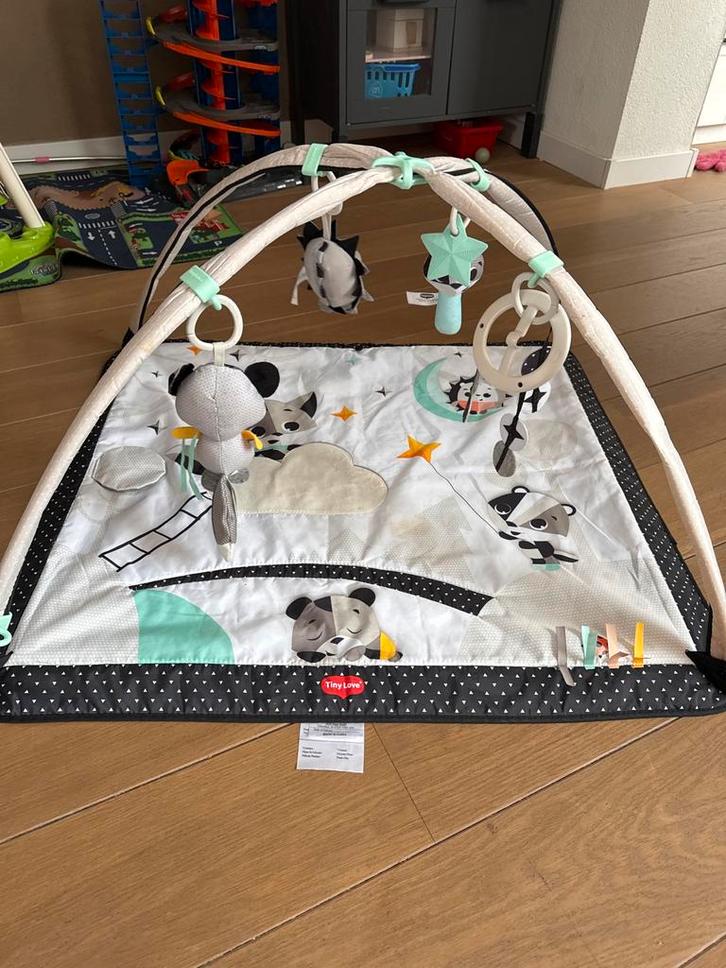 Tiny Love Gymini Move & Play Activity Gym, Kinderen en Baby's, Speelgoed | Speelkleden, Zo goed als nieuw, Ophalen of Verzenden