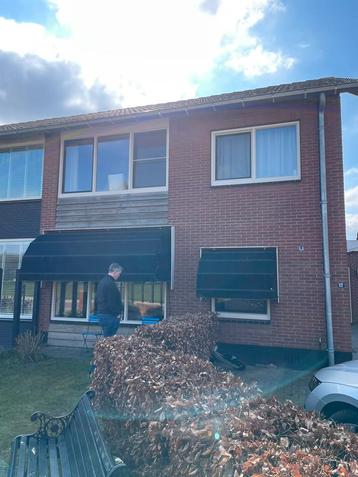Markies te koop beschikbaar voor biedingen