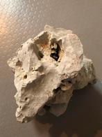 Grote aquarium steen, Ophalen of Verzenden