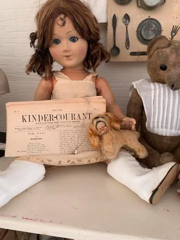 Een lief klein oud hondje pekinees beschikbaar voor biedingen