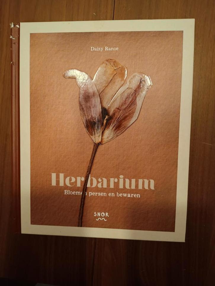 Daisy Ranoe - Herbarium, Boeken, Natuur, Zo goed als nieuw, Bloemen, Planten en Bomen, Ophalen of Verzenden