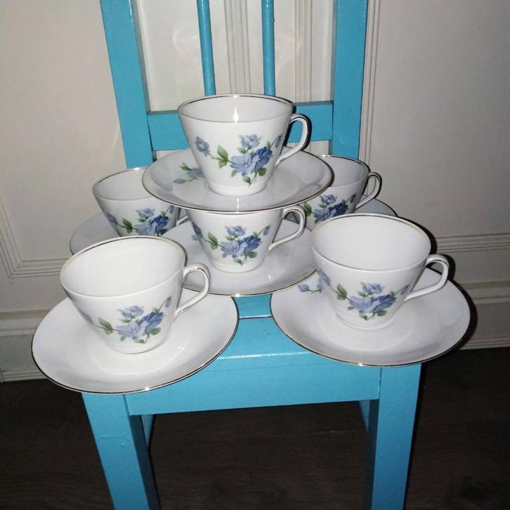 Kop en schotels bloemafbeelding Schirnding Bavaria 6 stuks, Huis en Inrichting, Keuken | Servies, Gebruikt, Kop(pen) en/of Schotel(s)