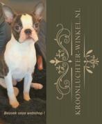 Breeze ovaal LB049/1+10VL Kroonlucher-winkel, Ophalen of Verzenden, Nieuw, Metaal, 75 cm of meer