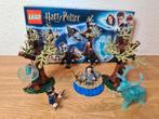 Lego Harry Potter 75945, Ophalen of Verzenden, Zo goed als nieuw