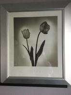 Set lijsten met posters, Ophalen of Verzenden, Zo goed als nieuw, Hout, Minder dan 50 cm