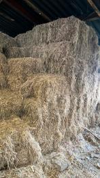 Hooibalen te koop, Dieren en Toebehoren, Dierenvoeding, Ophalen, Vee