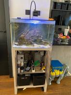 Zeeaquarium, Dieren en Toebehoren, Vissen | Aquaria en Toebehoren, Ophalen of Verzenden, Zo goed als nieuw, Leeg aquarium