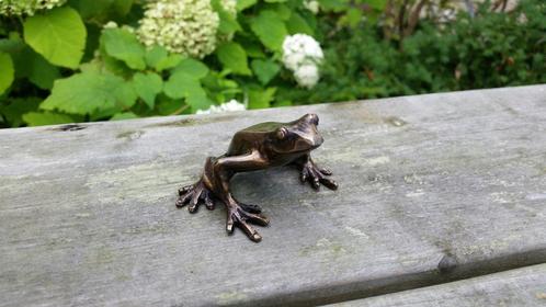 BOOMKIKKER / bronzen beeld, Tuin en Terras, Tuinbeelden, Nieuw, Dierenbeeld, Ophalen of Verzenden