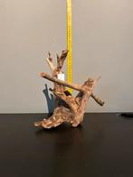 Prachtig stuk Kienhout / Driftwood / Spiderwood, Ophalen of Verzenden, Zo goed als nieuw, Plant(en), Steen of Hout