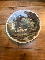 Wandbord Royal Schwabap 25 cm, Antiek en Kunst, Ophalen of Verzenden