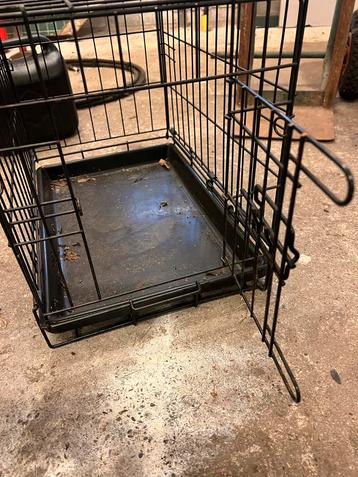 Honden kennel voor chiawha of andere kleime hond beschikbaar voor biedingen