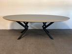 Ovale eettafel HPL grijs 240x120 / 240x130, 100 tot 150 cm, 200 cm of meer, Ophalen of Verzenden, Zo goed als nieuw