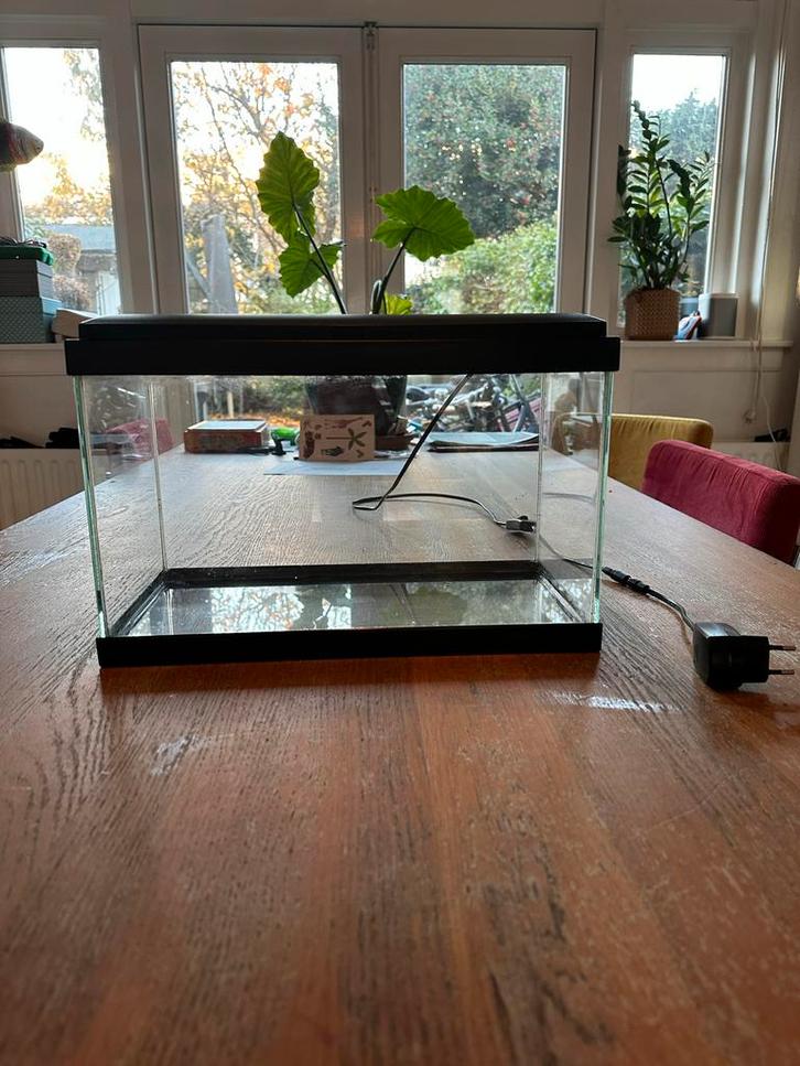 Vissenkom 42x22x26 cm  (ldh), Dieren en Toebehoren, Vissen | Aquaria en Toebehoren, Gebruikt, Leeg aquarium, Ophalen