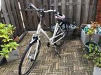 Damesfiets Sparta, Fietsen en Brommers, Fietsen | Dames | Damesfietsen, Ophalen, Sparta, Versnellingen, 53 tot 56 cm