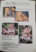 Vilt pakket Fairy Tiptoes, Hobby en Vrije tijd, Ophalen of Verzenden, Nieuw, Figuurtje(s)