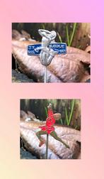 Speldje Sjoukje Dijkstra 3x goud 1964 - blauw en rood, Ophalen of Verzenden, Zo goed als nieuw, Sport, Speldje of Pin