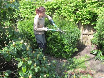 Ervaren tuinvrouw - onkruid verwijderen, tuinonderhoud beschikbaar voor biedingen