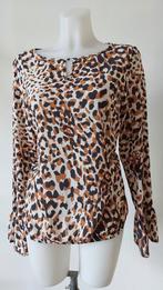 &co top maat xl, Bruin, ., Maat 46/48 (XL) of groter, Ophalen of Verzenden