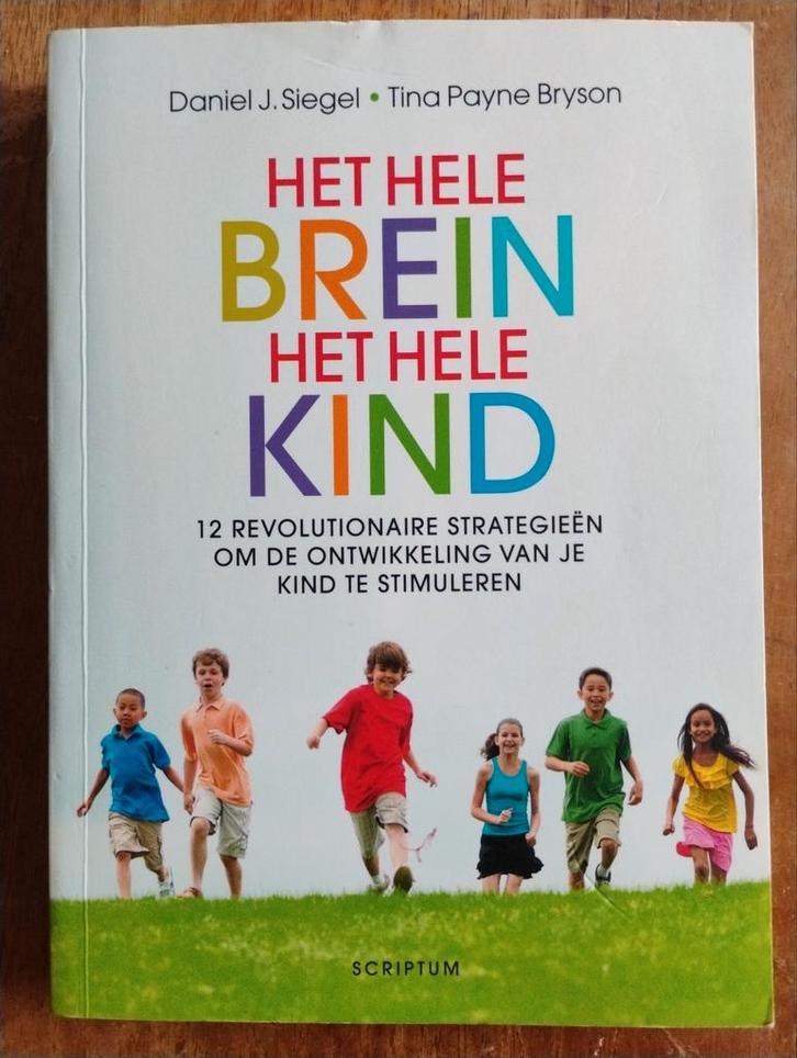 Het Hele Brein, Het Hele Kind - Opvoeding, Boeken, Zwangerschap en Opvoeding, Opvoeding tot 6 jaar, Ophalen of Verzenden