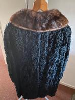 Bont jas persianer met mooi nerts kraag, Ophalen of Verzenden, Zo goed als nieuw, Boven de knie