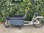 Dolly bakfiets, Gebruikt, Elektrisch, 2 kinderen, Ophalen
