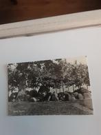 ROLDE  HUNEBED   1969, Ophalen of Verzenden, 1960 tot 1980