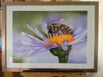 Bij op een bloem. (Eigen werk) Ingelijst airbrush schilderij, Ophalen, 50 tot 75 cm, Nieuw, Schilderij