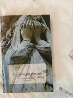 De Verborgen Glimlach - Literaire Thriller, Ophalen of Verzenden, Zo goed als nieuw, Nederland