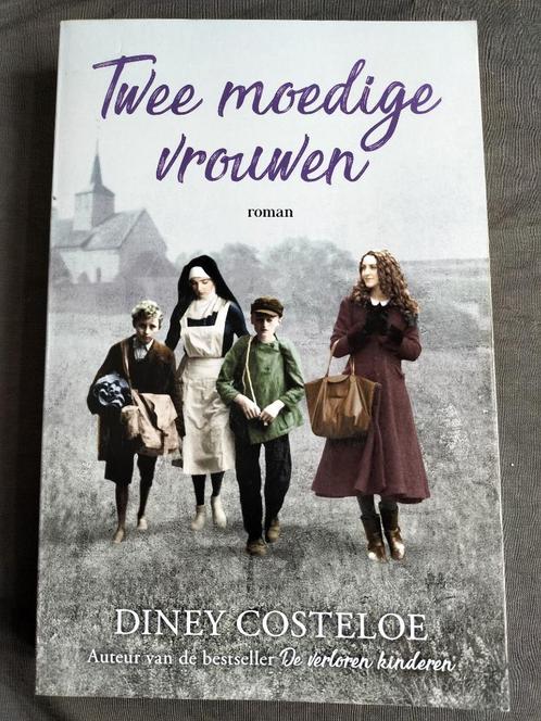 Diney Costeloe - Twee moedige vrouwen, Boeken, Oorlog en Militair, Zo goed als nieuw, Verzenden