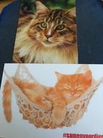 Katten, Verzenden, Ongelopen, Hond of Kat