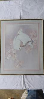 Vogel print, in lijst, roze wit. Euro 7,50, Antiek en Kunst, Kunst | Litho's en Zeefdrukken, Ophalen