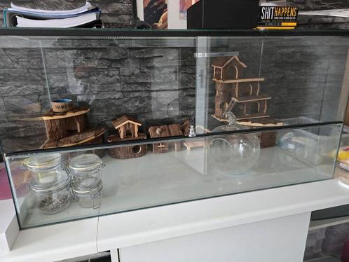 Terrarium 100x60x40, Dieren en Toebehoren, Knaagdieren en Konijnen | Hokken en Kooien, Zo goed als nieuw, Overige typen, 60 tot 90 cm