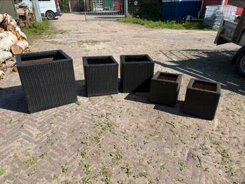 Plantenbakken / bloembakken - wicker - 5 stuks te koop beschikbaar voor biedingen